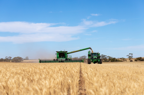 Crop harvest - Australian Stock Image