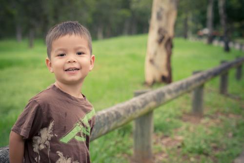 Cute 3 year old boy sits on a wooden log fence in a suburban park - Australian Stock Image