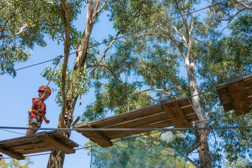 Cute 3 year old mixed race boy plays on an adventure ropes course