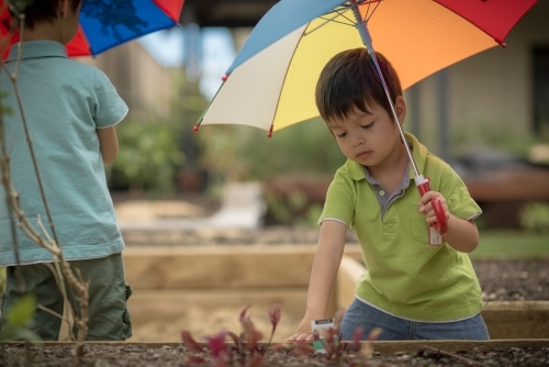 Cute boy plays outside with a rainbow umbrella in a suburban backyard - Australian Stock Image