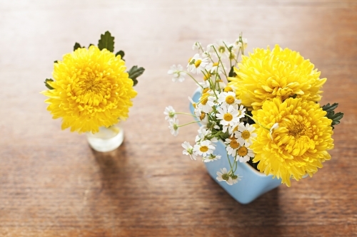 Cute bunches of flowers on table top in spring - Australian Stock Image