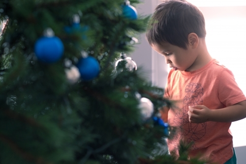 Cute mixed race boy hanging decorations on their Christmas tree - Australian Stock Image