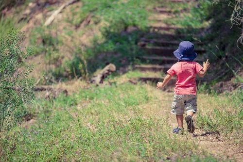 Cute mixed race little boy bushwalking on the Warrumbungles National Park Nature Trail - Australian Stock Image