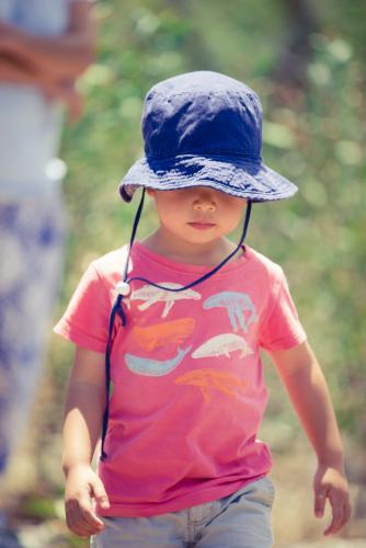 Cute mixed race little boy bushwalking on the Warrumbungles National Park Nature Trail - Australian Stock Image