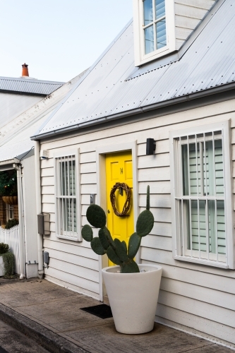 Cute white weatherboard cottage with yellow door and cactus in paddington, sydney - Australian Stock Image