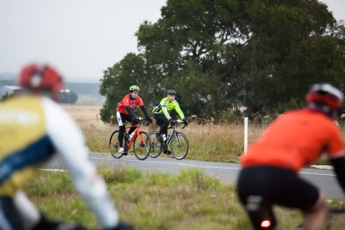 Cyclists waiting at intersection for another group to pass - Australian Stock Image