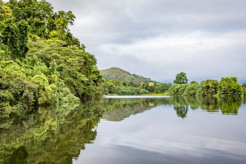 Daintree river reflection - Australian Stock Image