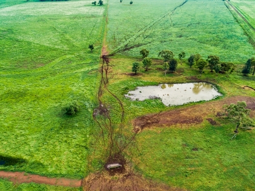 Dam in paddock and cattle tracks to waterhole - Australian Stock Image