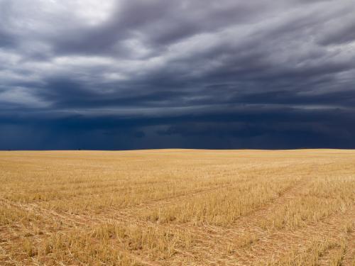 Dark storm clouds over a yellow harvested wheat field
