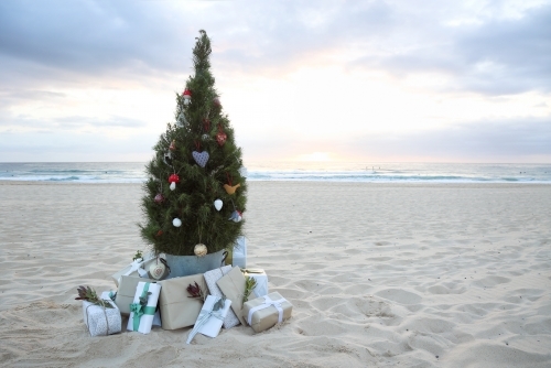 Decorated Christmas tree on beach at sunrise with present - Australian Stock Image