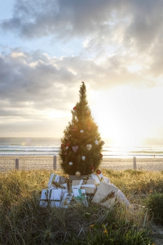 Decorated Christmas tree with presents at beach with sunrise in background - Australian Stock Image