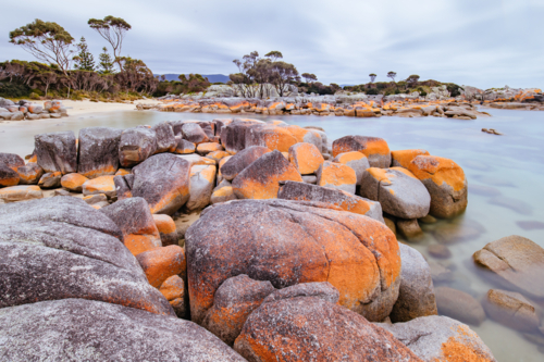 Detail of the iconic lichen covered rocks in the Bay of Fires at Binalong Bay, Tasmania, Australia - Australian Stock Image