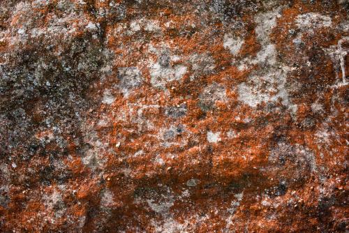 Detail shot of heavily textured and patterned rock with bright orange lichens - Australian Stock Image