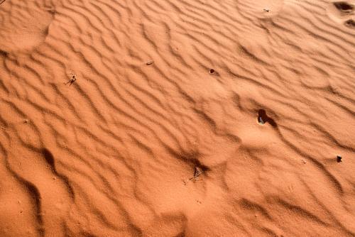 Detail shot of ripples and animal prints in orange desert sand - Australian Stock Image