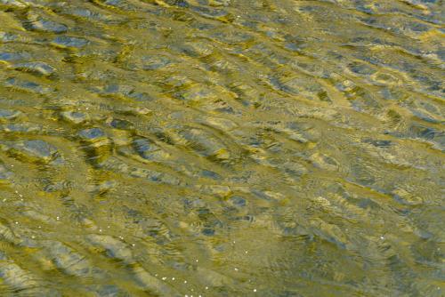 Detail shot of rippling water - Australian Stock Image
