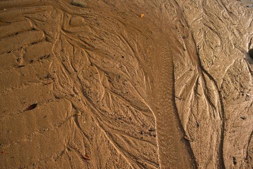 Detail shot of water rippling through sand forming patterns in late afternoon light