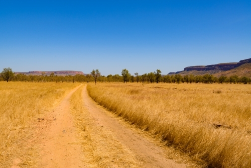 Dirt track through straw coloured savannah grasses with low purple range int the background - Australian Stock Image