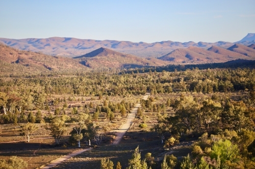 Dirt track through trees with mountains in background - Australian Stock Image