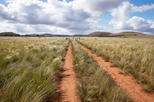 dirt tracks in native grasses in an outback landscape - Australian Stock Image