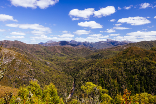 Donaghys Hill walk with Frenchmans Cap in the distance in Franklin-Gordon Wild Rivers National Park - Australian Stock Image