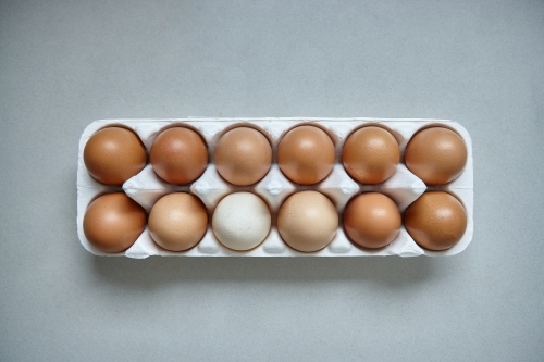 Dozen eggs in paper carton - Australian Stock Image