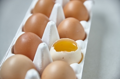 Dozen eggs in paper carton - Australian Stock Image