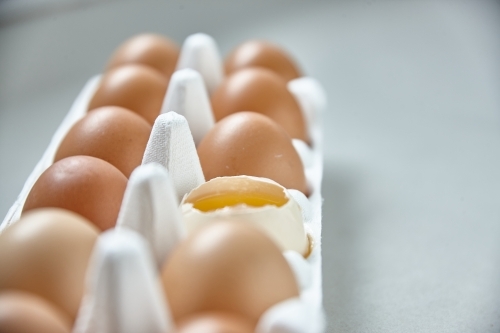 Dozen eggs in paper carton - Australian Stock Image