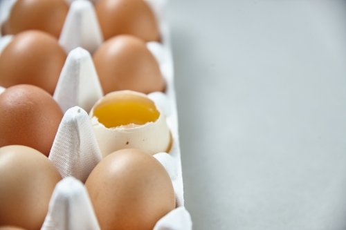 Dozen eggs in paper carton - Australian Stock Image