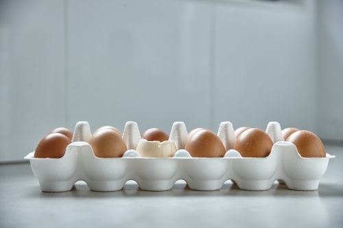 Dozen eggs in paper carton - Australian Stock Image
