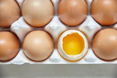 Dozen eggs in paper carton - Australian Stock Image