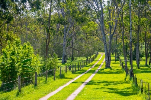 Driveway to house with vibrant green grass and wooden fence and house number - Australian Stock Image