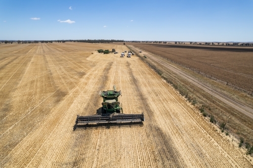 Drone view of combine harvester out for work on a blue sky day. - Australian Stock Image