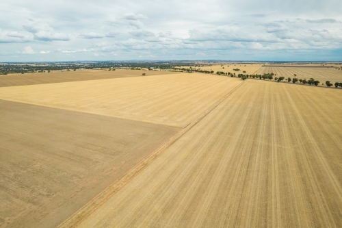 Dry brown paddocks leading off into the distance in the Mallee. - Australian Stock Image