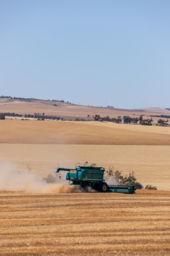 Dry-land farming machinery harvesting crop in farm paddock - Australian Stock Image