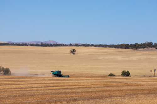 Dry-land farming machinery harvesting crop in farm paddock - Australian Stock Image