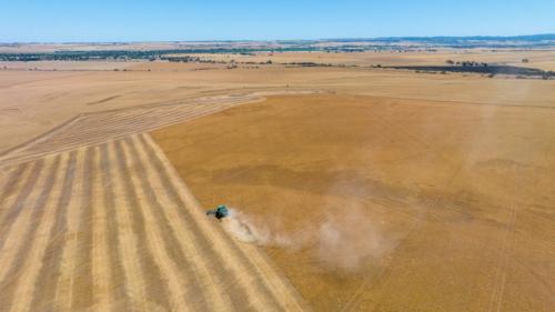 Dry-land farming machinery harvesting crop in farm paddock - Australian Stock Image