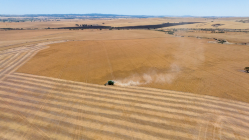 Dry-land farming machinery harvesting crop in farm paddock - Australian Stock Image