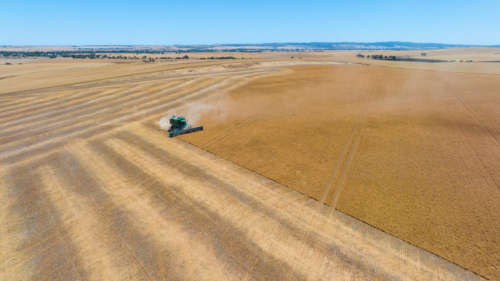 Dry-land farming machinery harvesting crop in farm paddock - Australian Stock Image