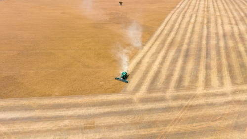 Dry-land farming machinery harvesting crop in farm paddock - Australian Stock Image