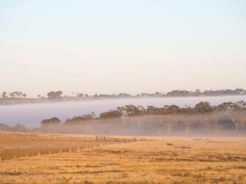 Early morning mist in valleys with grass field - Australian Stock Image