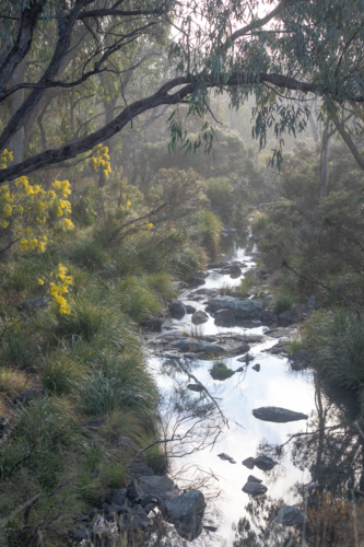 Early morning over a country creek - Australian Stock Image