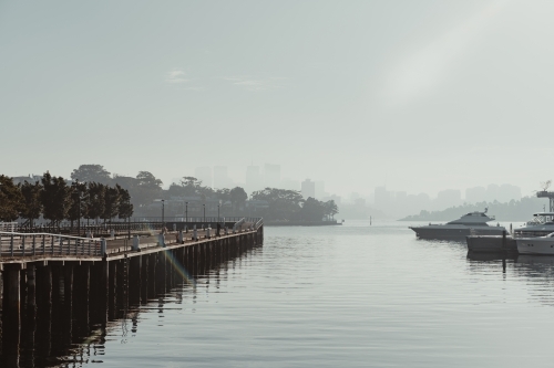 Early morning sun haze over the water at Pirrama Park/Jones Bay Wharf, Sydney NSW. June 2019 - Australian Stock Image