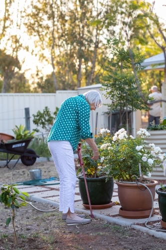 elderly woman with walking stick in home  garden - Australian Stock Image