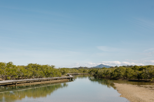 Elevated boardwalk over mangroves - Australian Stock Image