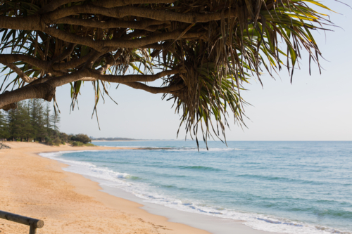 Empty Sandy Beach - Australian Stock Image