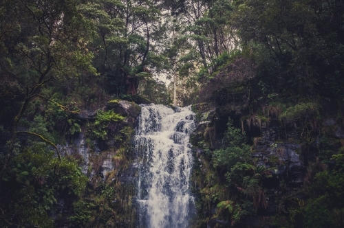 Erskine Falls, Victoria - Australian Stock Image