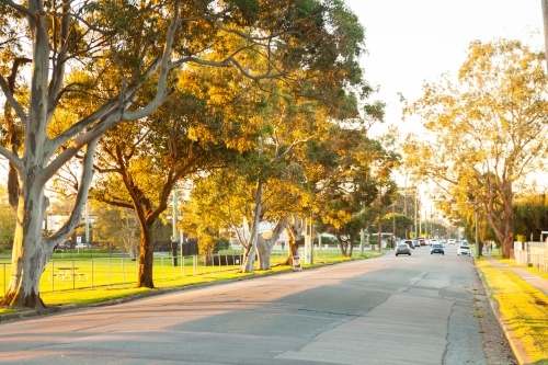 Evening light down street in Newcastle - Australian Stock Image