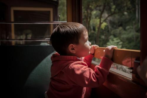 Excited 2 year old mixed race boy rides the Walhalla historic train - Australian Stock Image