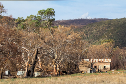 Farm building and trees in aftermath of a bushfire - Australian Stock Image
