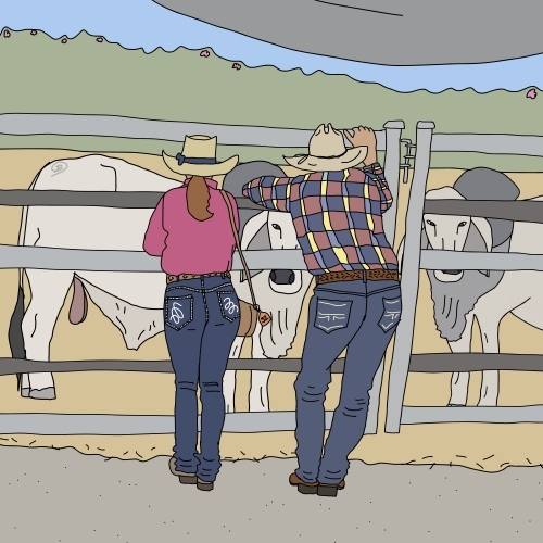 Farm couple leaning on fence looking at Brahman cattle in yard - Australian Stock Image